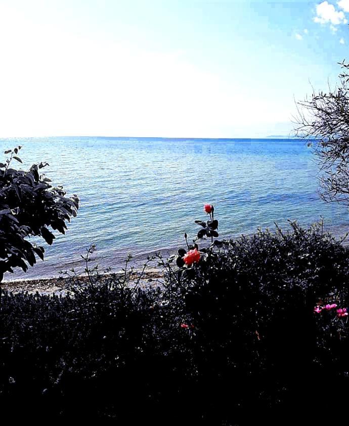 Mare Nostrum Neos Marmaras Luaran gambar